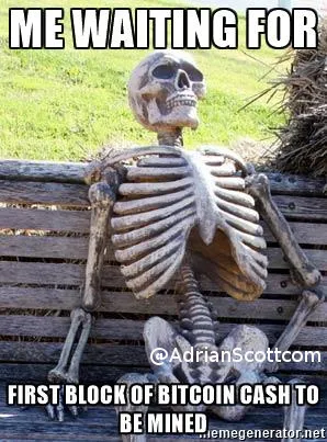 waiting-skeleton-me-waiting-for-first-block-of-bitcoin-cash-to-be-mined-signed.jpg