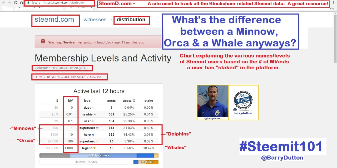 Steemd.com - #Steemit101 series - Scrnshot breaking down MVests - showing what a Minnow is by the charts + Steem distrib. pg..jpg