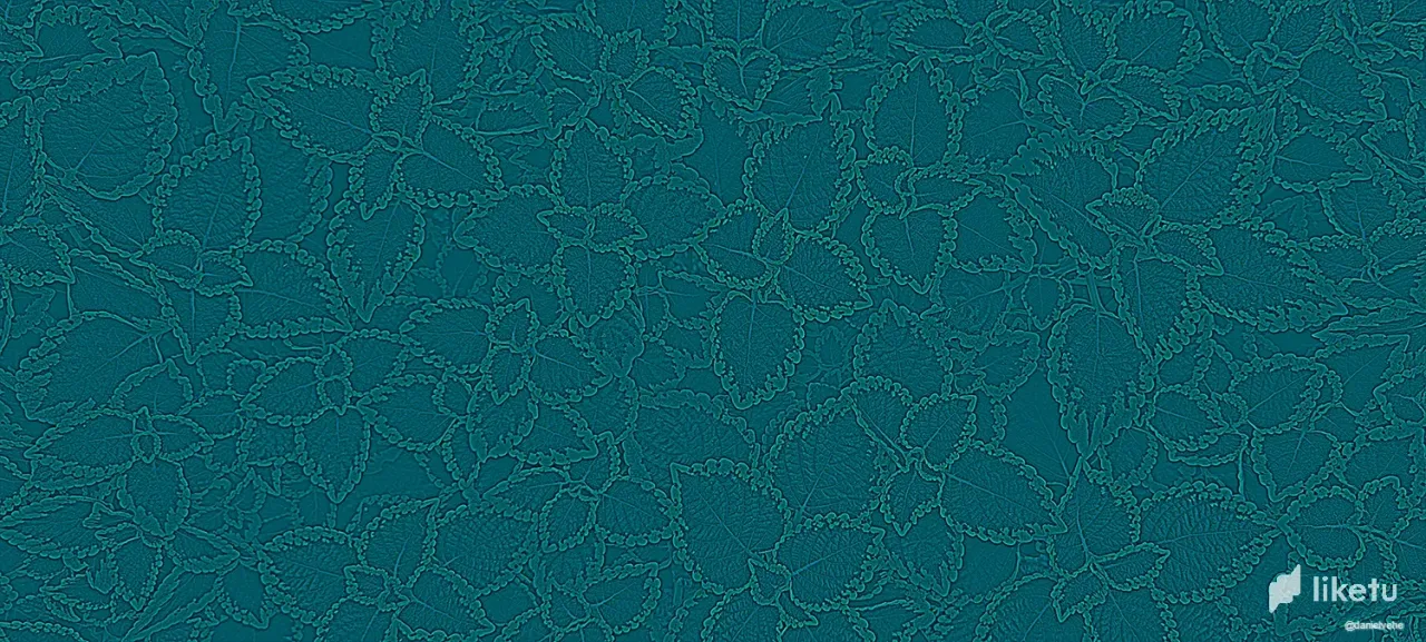 clkyxeibw0008ahsz1peb5knm_flor4.webp