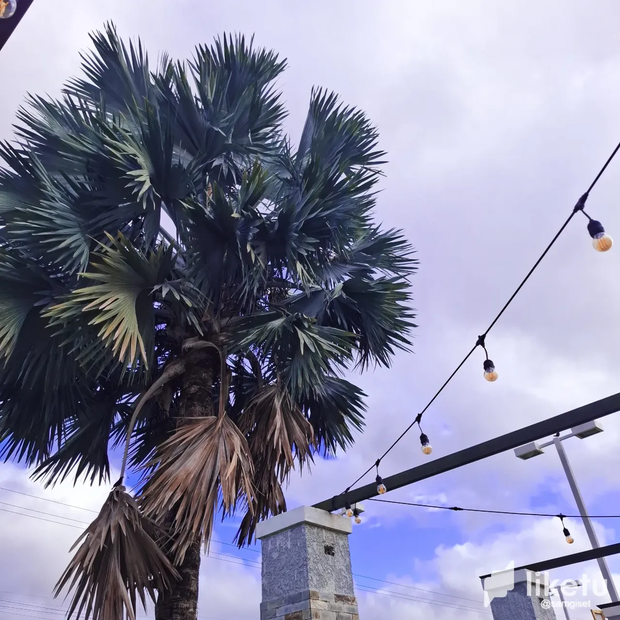 RnjMEcyX8PR8gfVI_20241124_084008.webp
