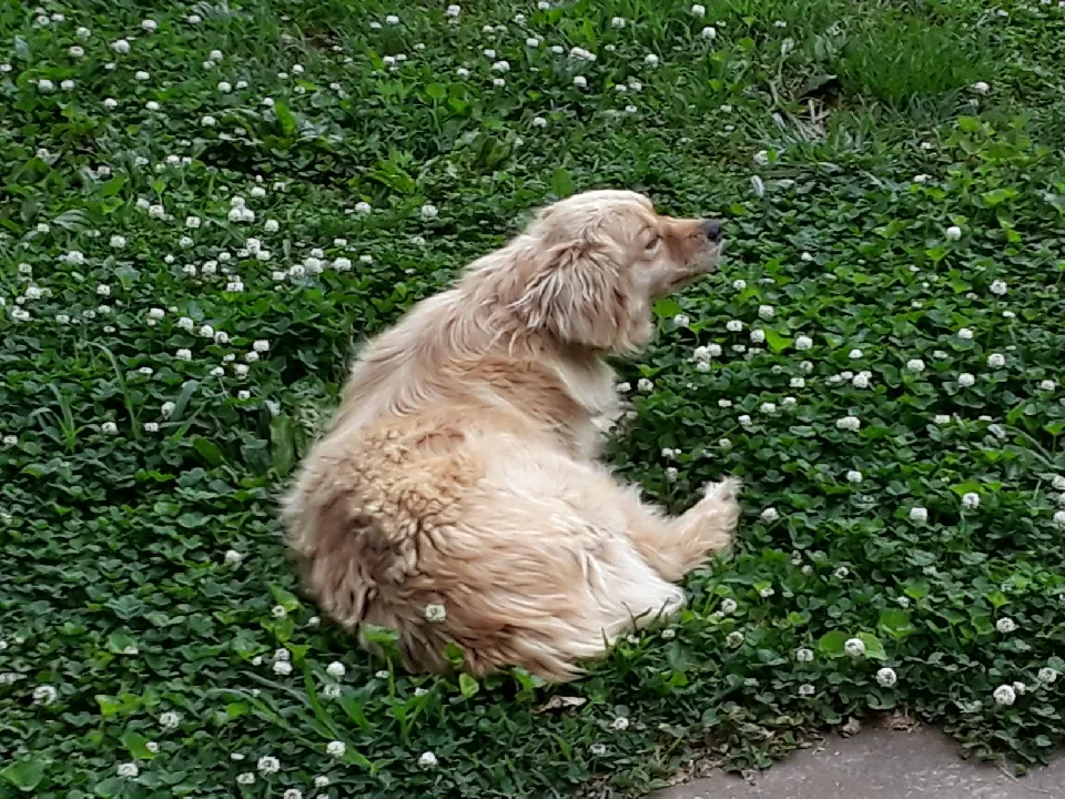 20180516_112909_1526488256636_001.jpg