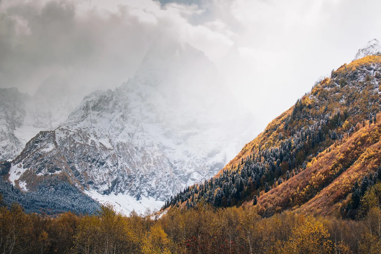 daylight-environment-fall-1834400.jpg