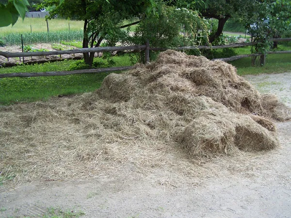 Mulch pile crop June 2018.jpg