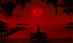 tumblr_p2hsjkhO8B1rob81ao6_r1_250.gif