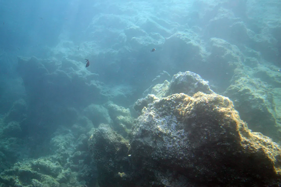 Corfu_Under_Water_Series_ph019a_s.jpg