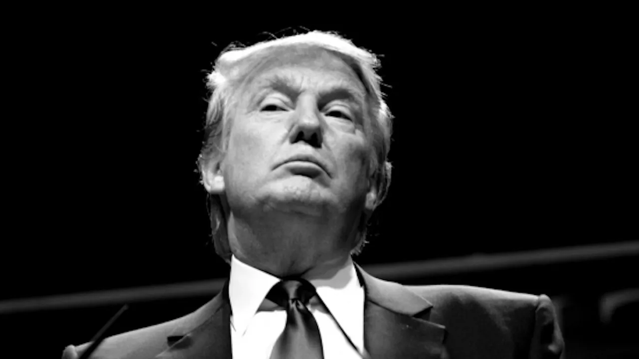 164231291-donald-trump-wallpapers.jpg