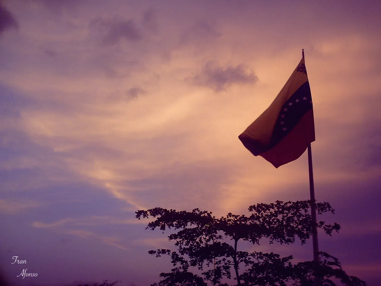 13 Una Tarde en Venezuela.JPG