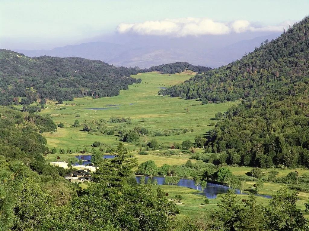 Palomar Mountain State Park.jpg