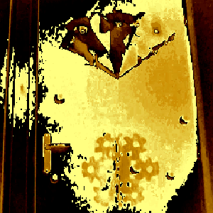 FlocGold SarniK 4.0.gif