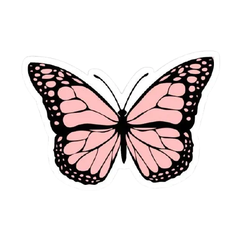 9a3db1d546d3de32d3f91a5b33219692removebgpreview.png