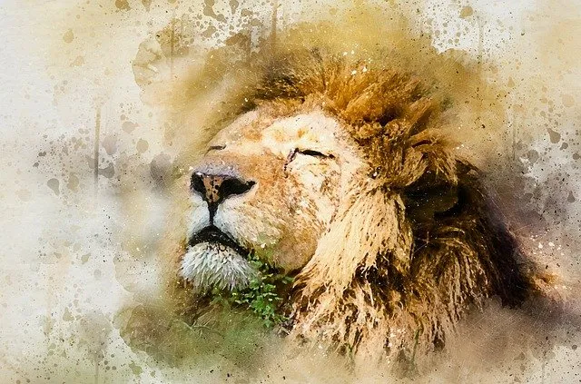 lion-1577197_640.jpg
