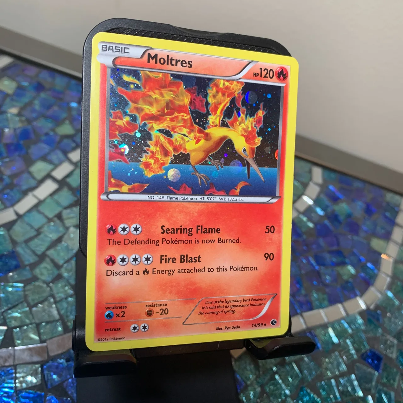 moltres2.JPG