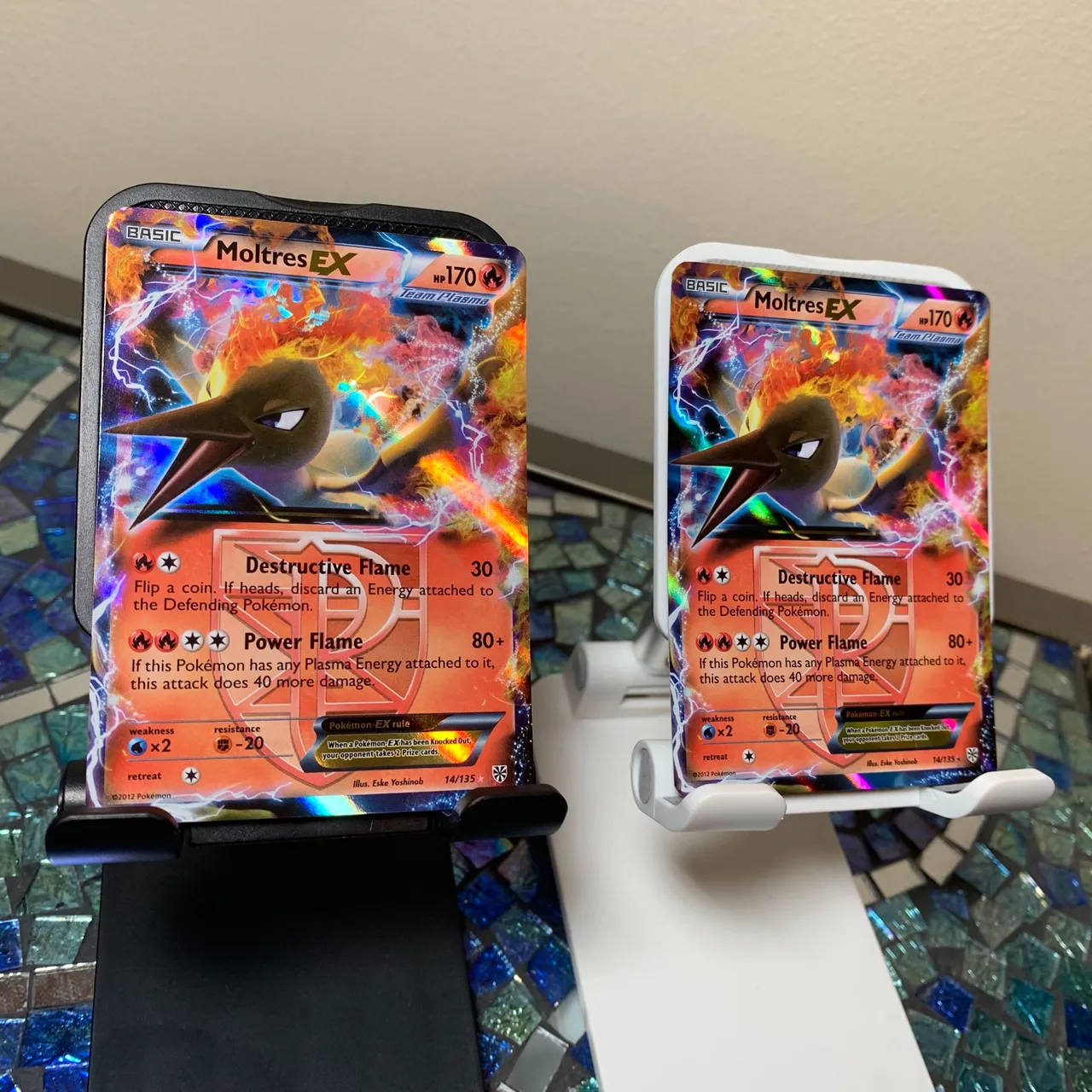 moltres1.JPG