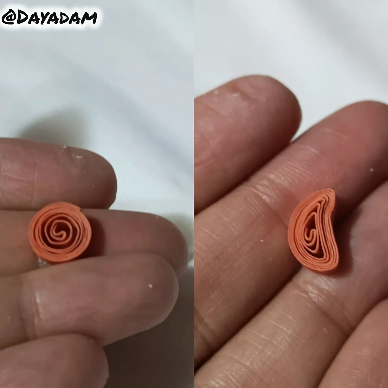 1000010485.jpg