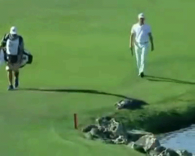 2021_03_02_20_47_22.gif