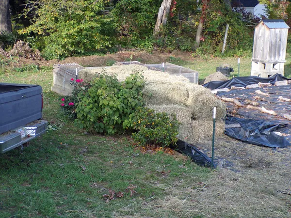 Mulch hay  50 more bales crop Oct. 2020.jpg