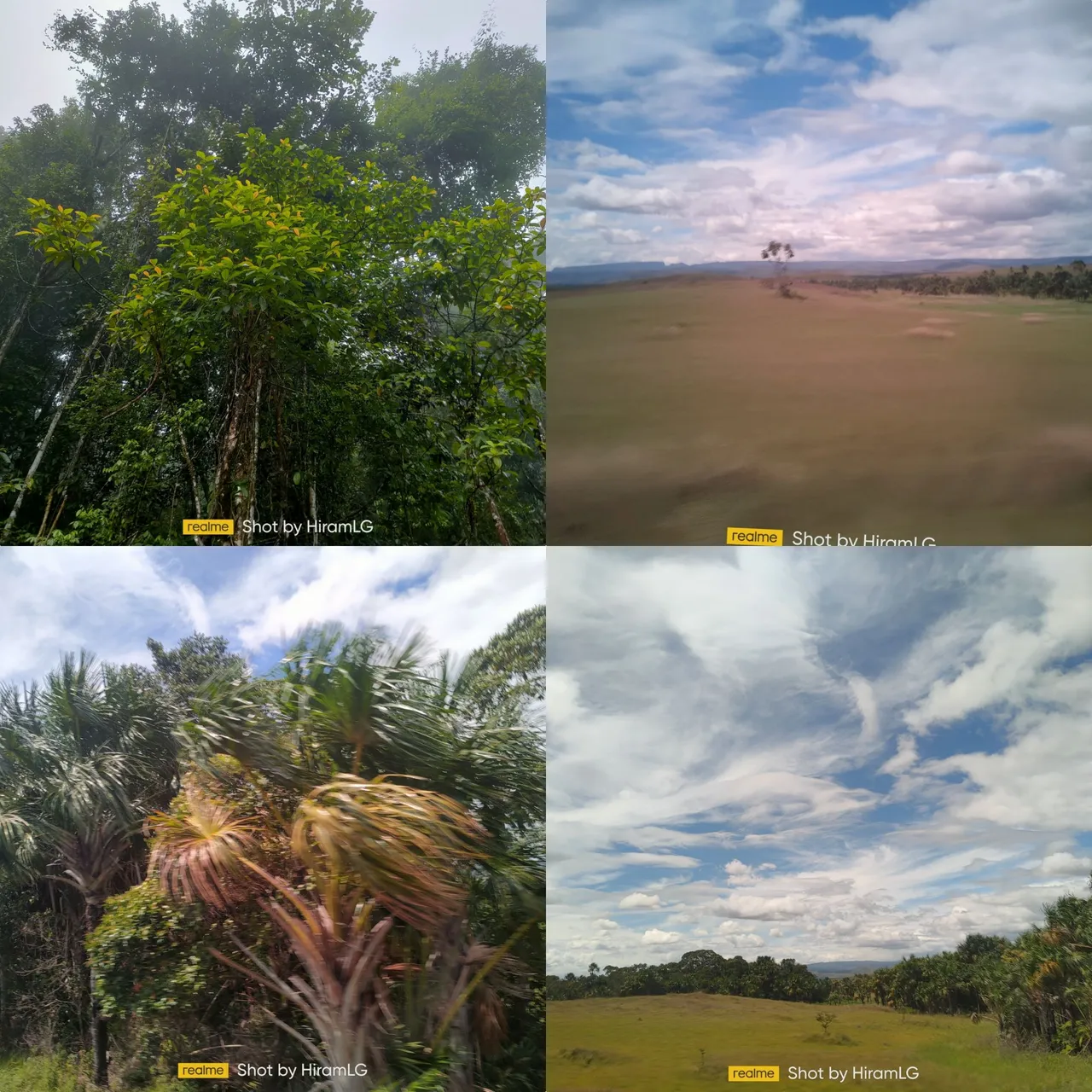 photocollage_20241171026172.jpg