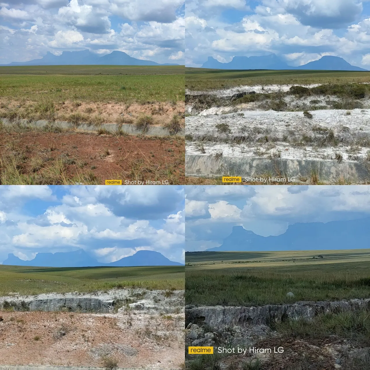 photocollage_202311717384946.jpg