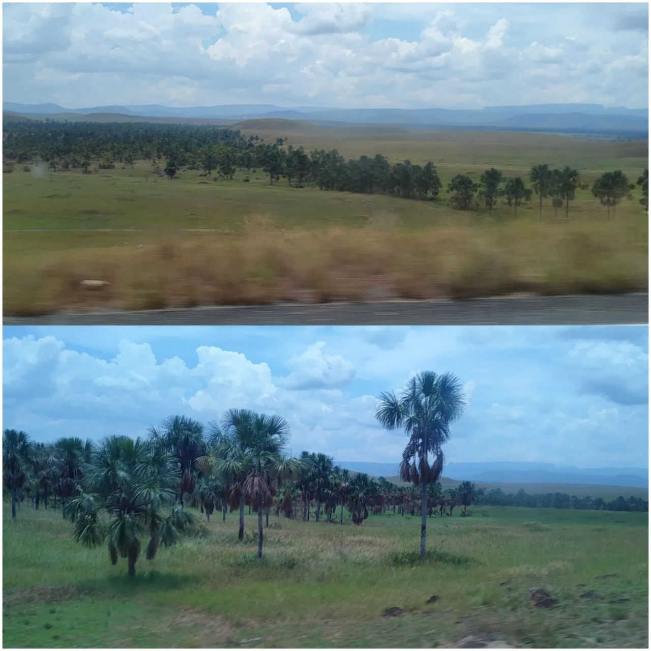 photocollage_202311717348181.jpg