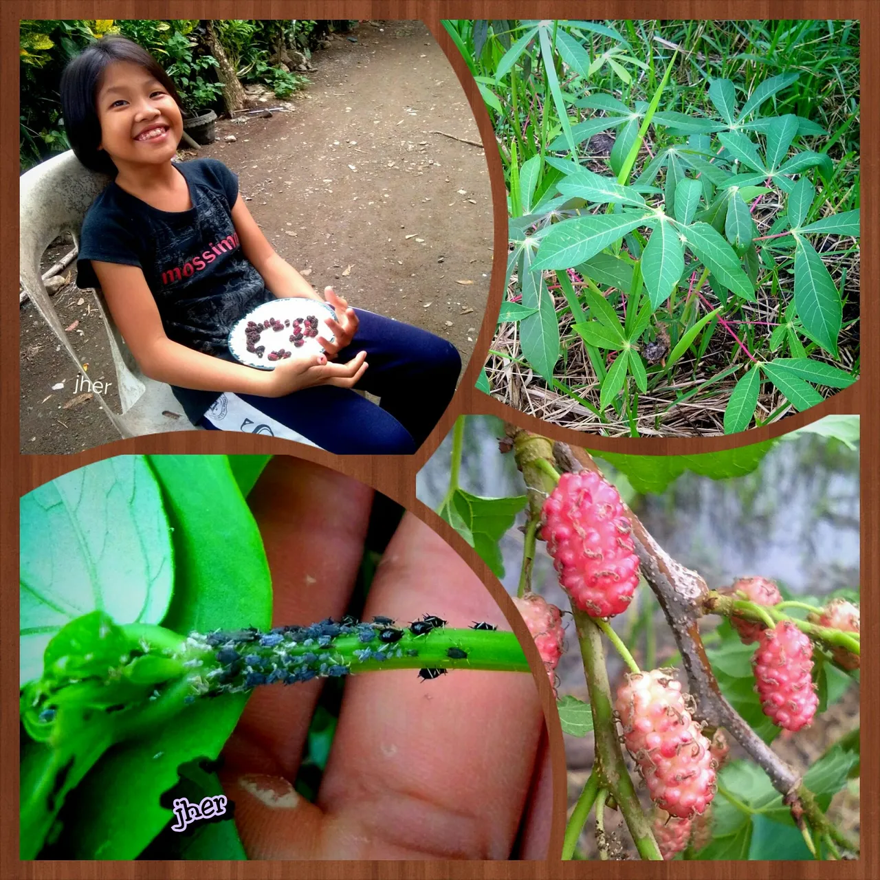 PhotoGrid_1671194128275.jpg