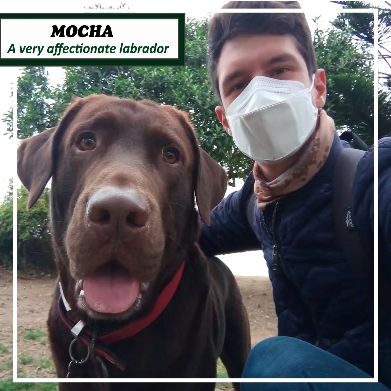 mocha-01.jpg