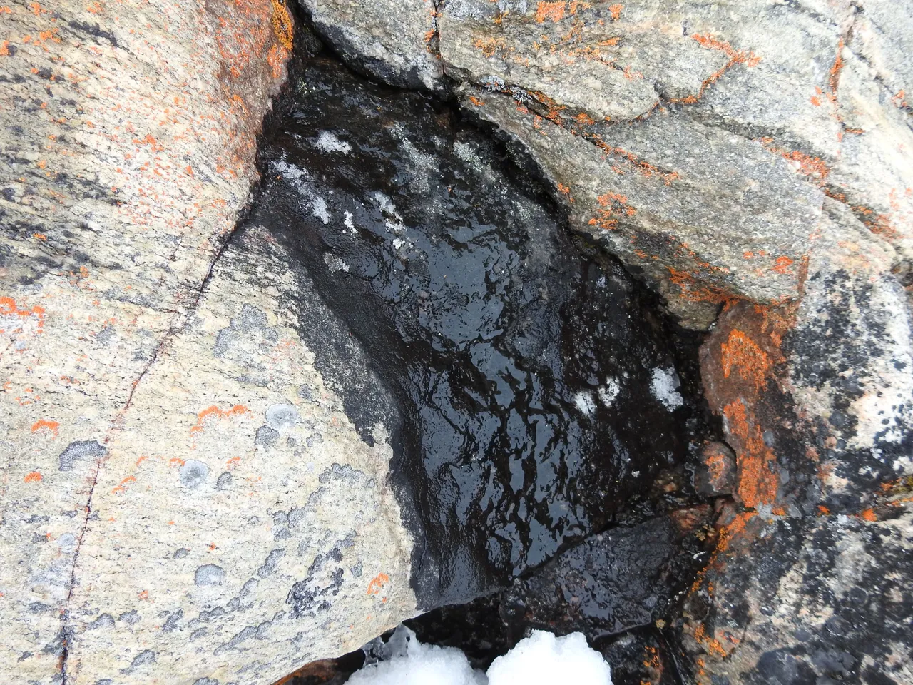 Natural Petroleum Seep