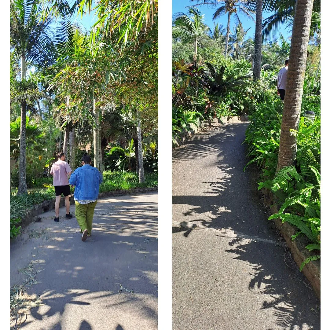 Pathway1.jpg