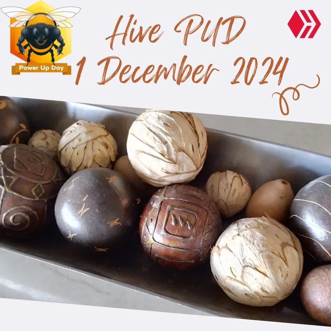 hive pud dec 24.jpg