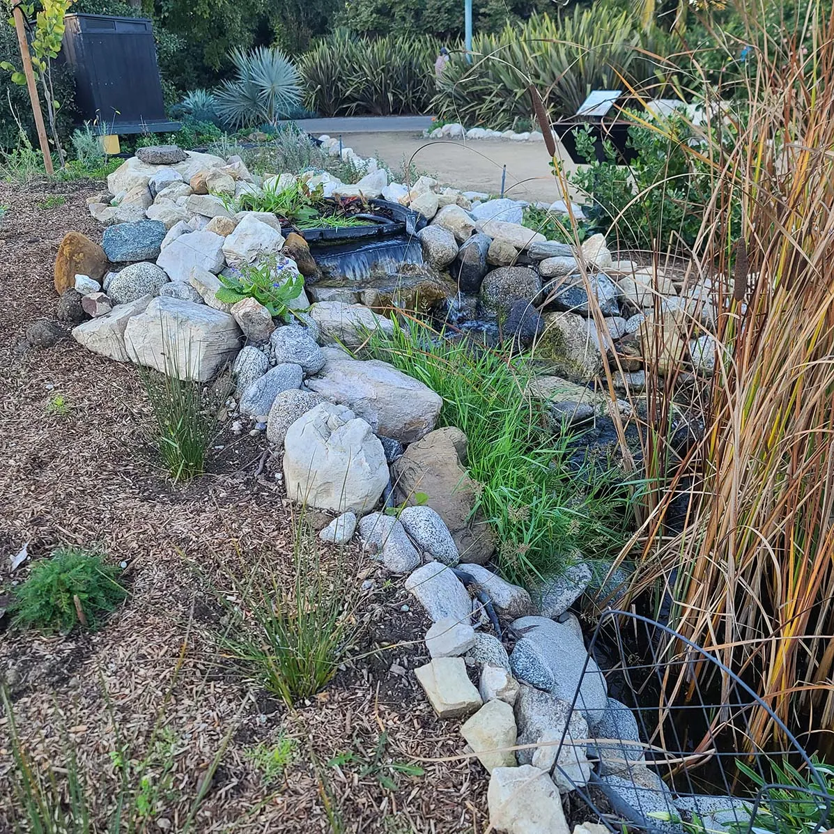 Waterfall at the top of the pond