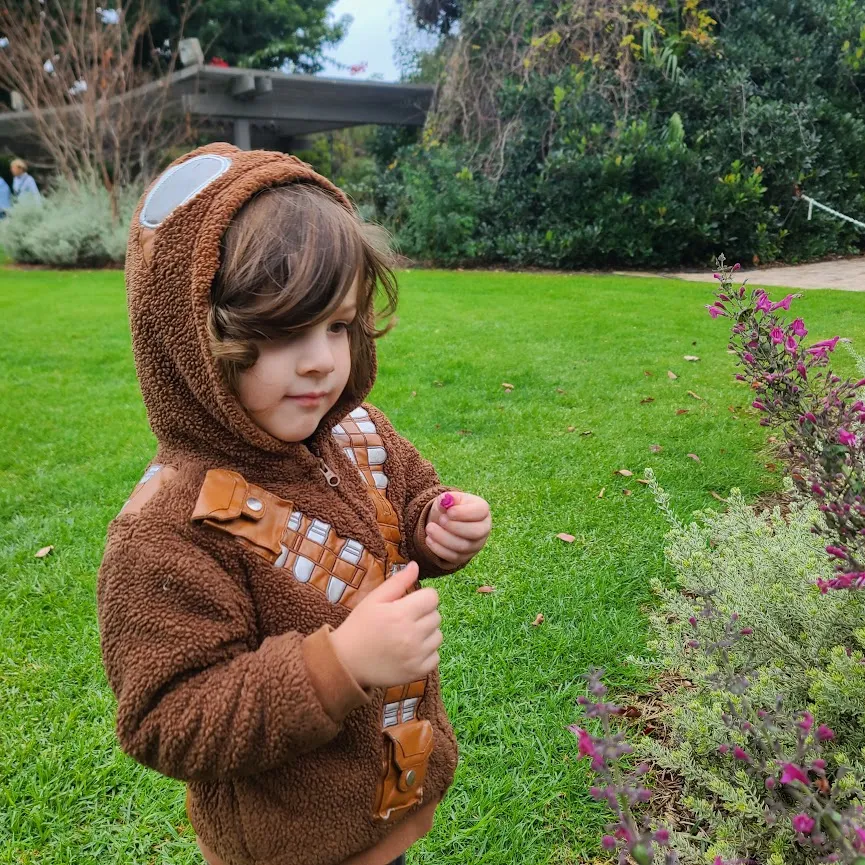 He has to pick flowers from every plant