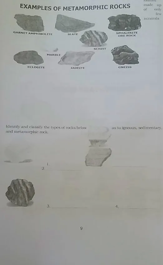 121701008_622094578485296_3042444912378252505_n.jpg