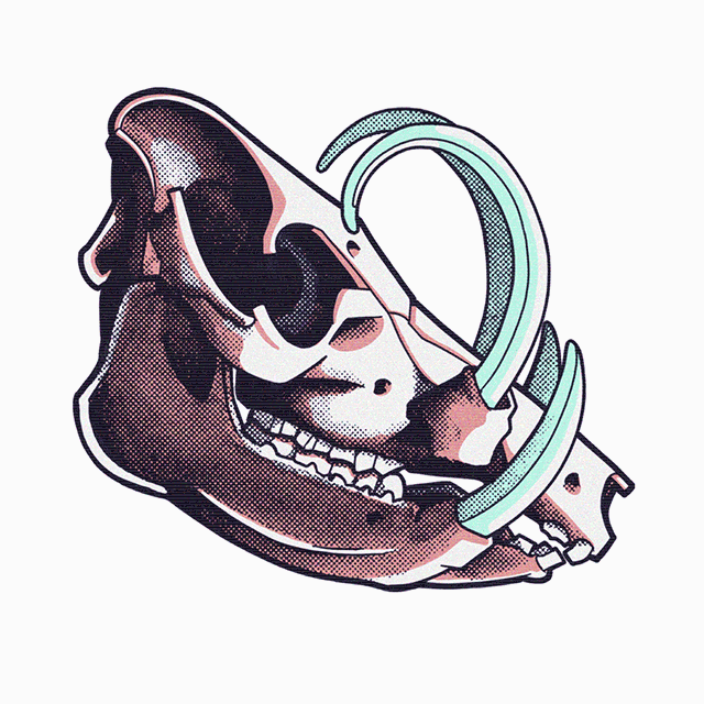 glitchSkull-babirusa640.gif
