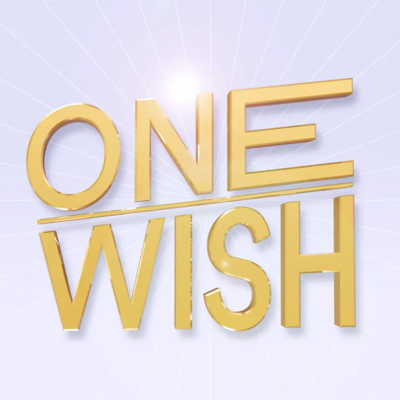 one wish.png
