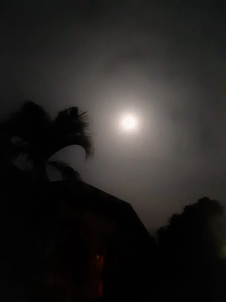 84557880_3215240055206617_6302467875240148992_n.jpg