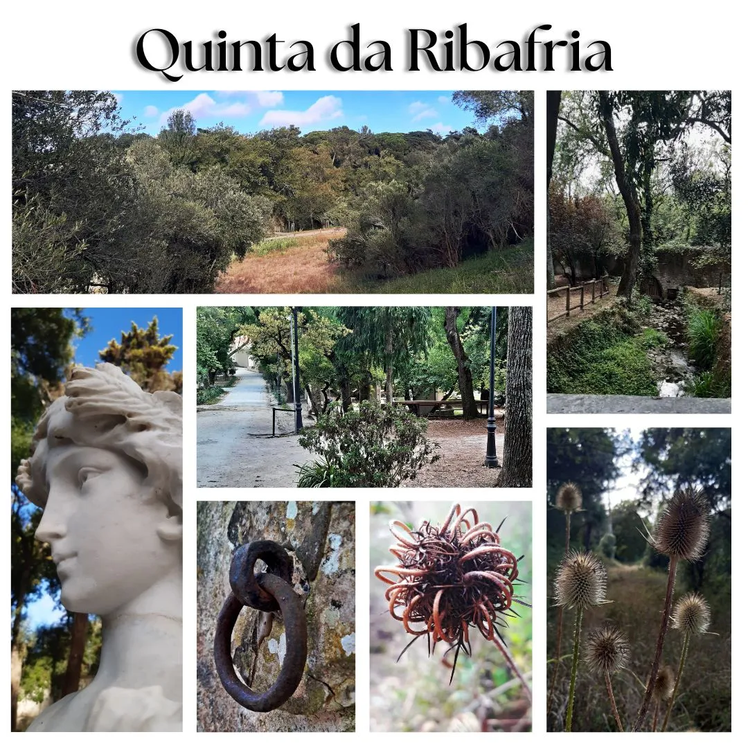 Quinta da Ribafria.jpg