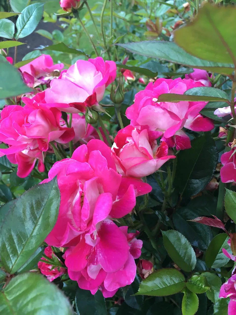 255025bf_0983_49bd_867a_db08b79ed16e.jpeg