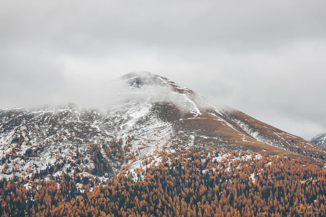 Orange Mountains / Autumn in Austria