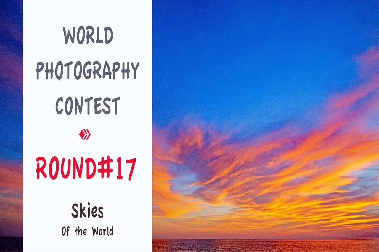 world_photography_contest_music_copie