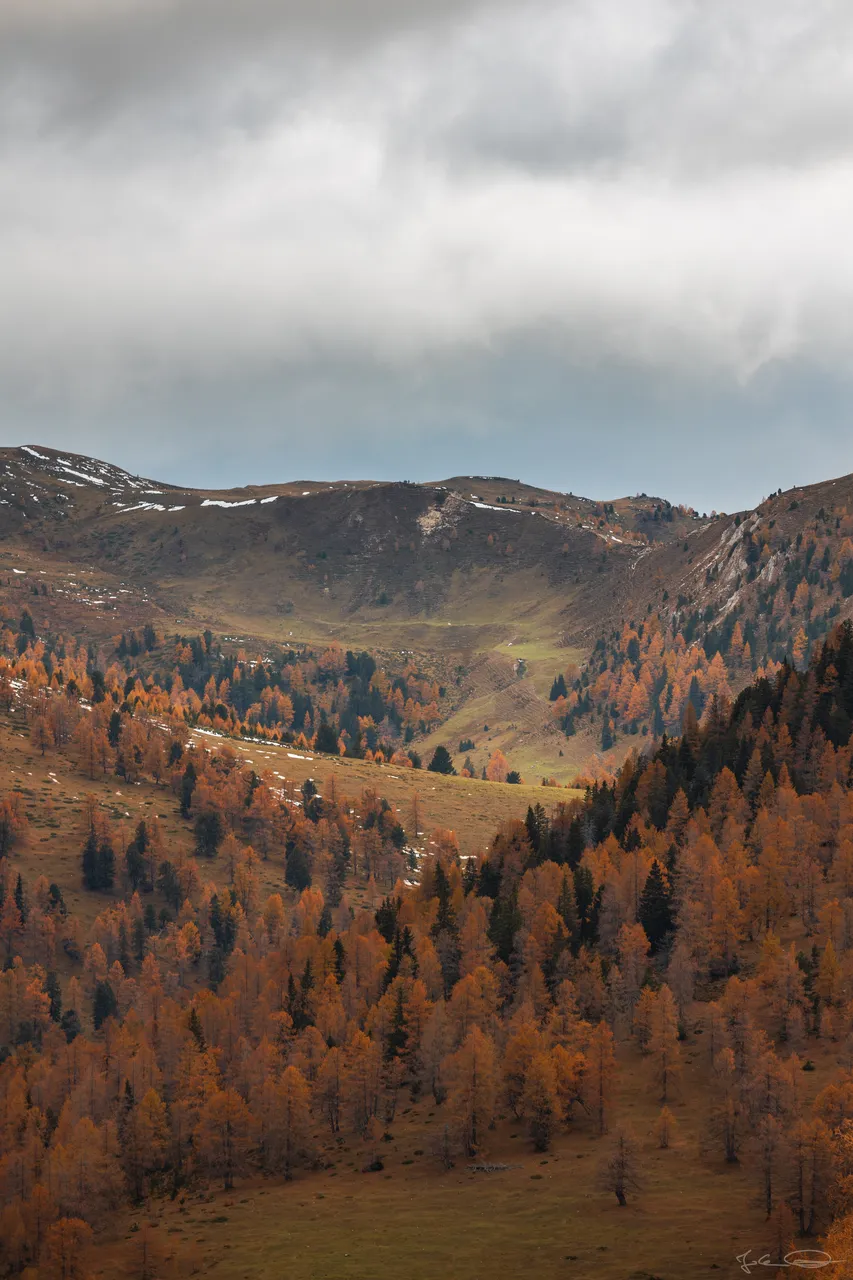 Orange Mountains / Autumn in Austria