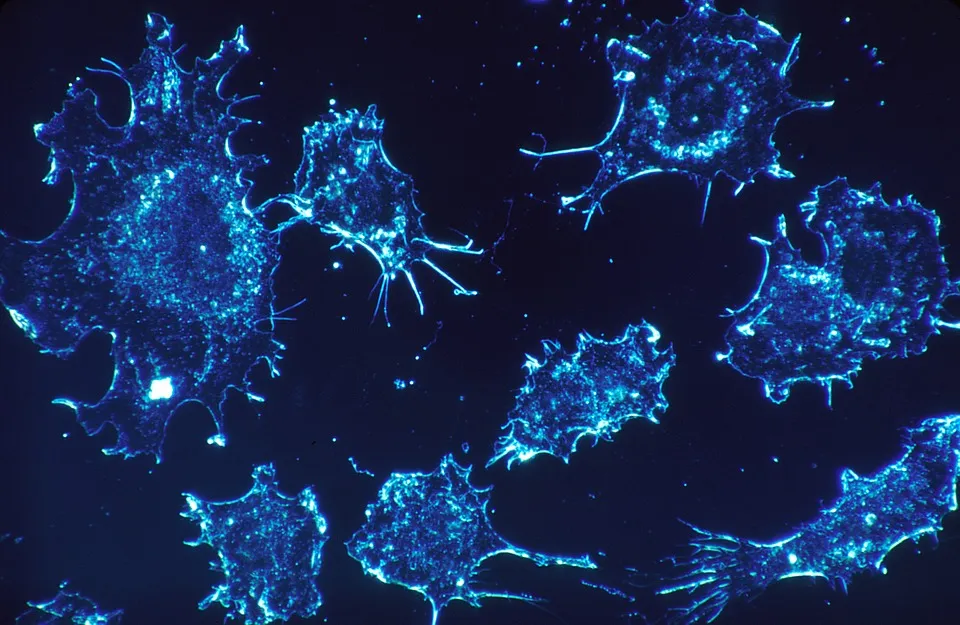 cancer-cells under electron microscope.jpg