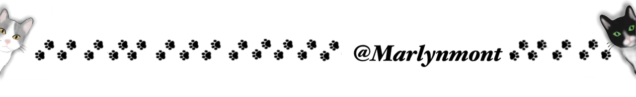 14 sin título_20241126180154.PNG