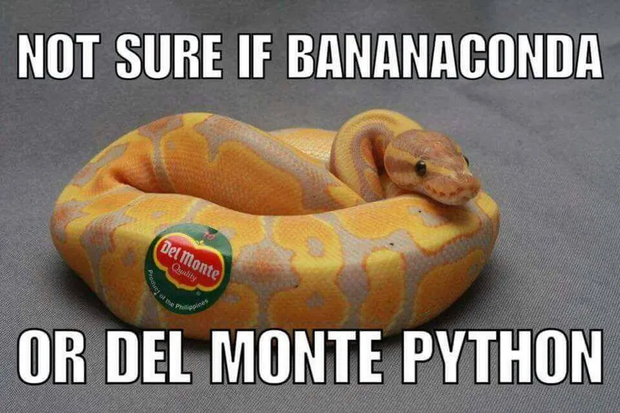 ball_python_meme_by_zetaomega2-da6ztu1.jpg