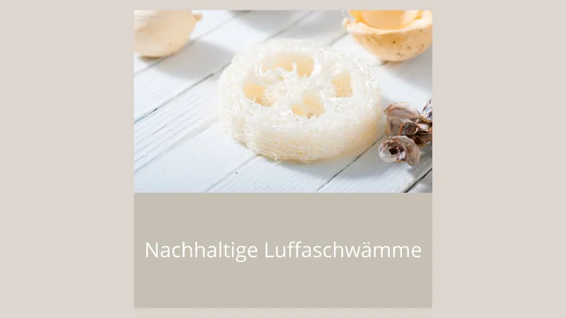 Nachhaltige Luffaschwämme Web.png