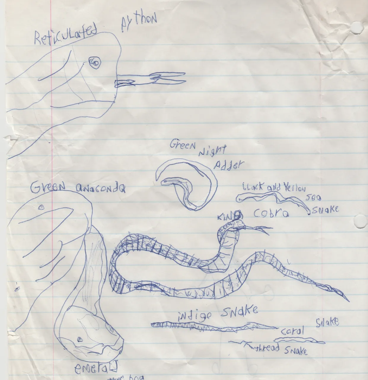 1996 maybe - Python - Snakes.jpg