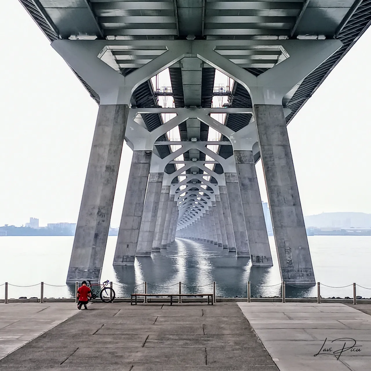 Under the bridge - Lavi Picu.png