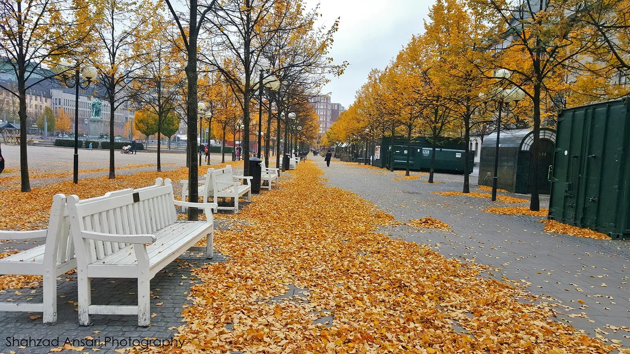 Kungsträdgården