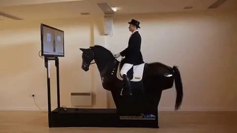 DRESSAGE SIMULATOR.mp4