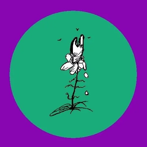 artworks-000241746513-79h1lf-t500x500.jpg