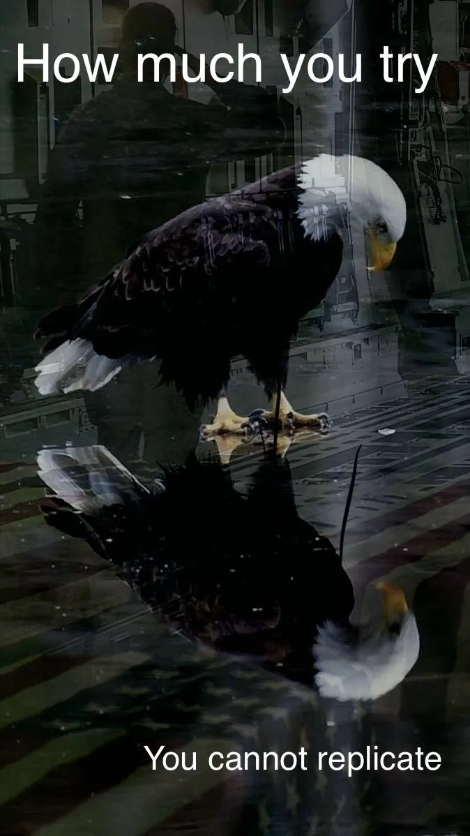 65FD93AE-8C87-4B4A-9F7A-7ADE55ACE00C.jpeg