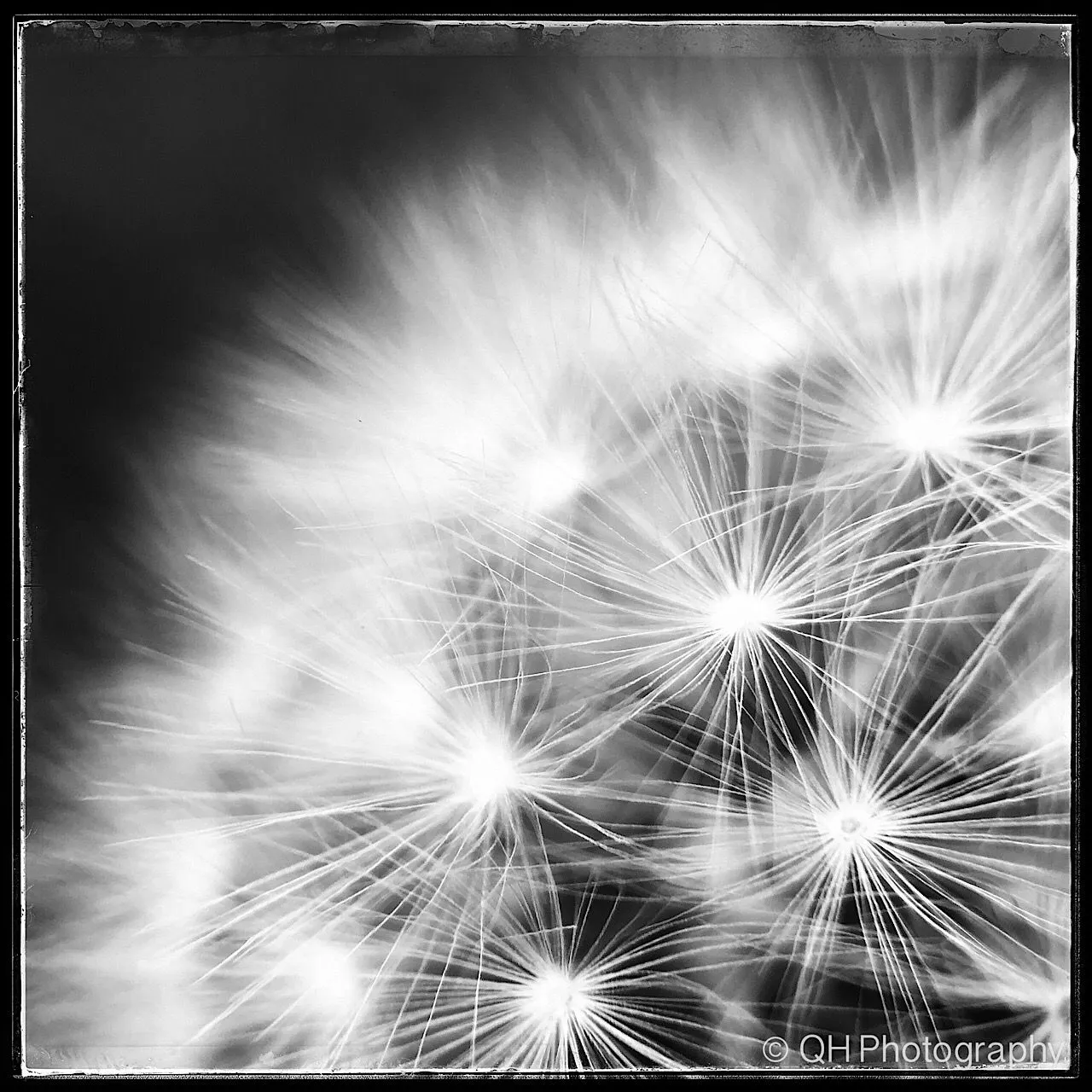 4863A075-719F-4001-8687-35D1585F72B3.jpeg